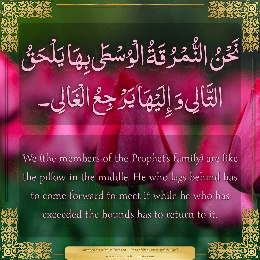 We (the members of the Prophet's family) are like the pillow in the...